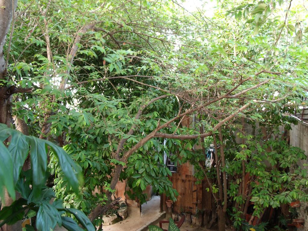 Casitas Kinsol Hotel Puerto Morelos Luaran gambar