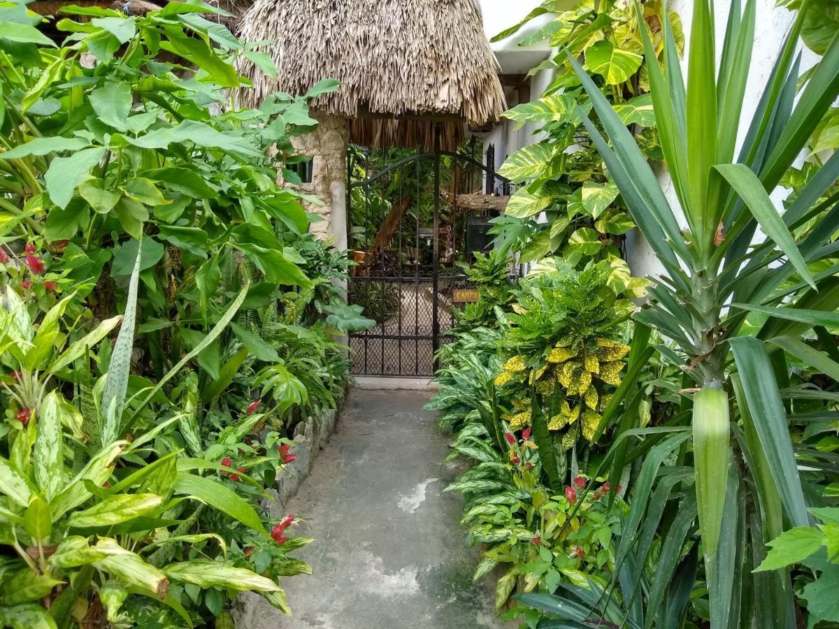 Casitas Kinsol Hotel Puerto Morelos Luaran gambar