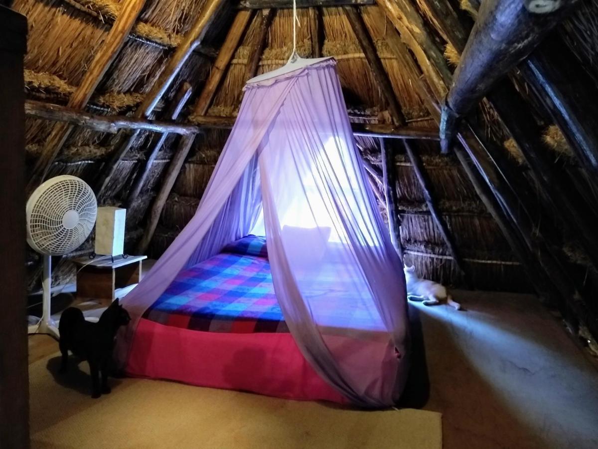 Casitas Kinsol Hotel Puerto Morelos Luaran gambar